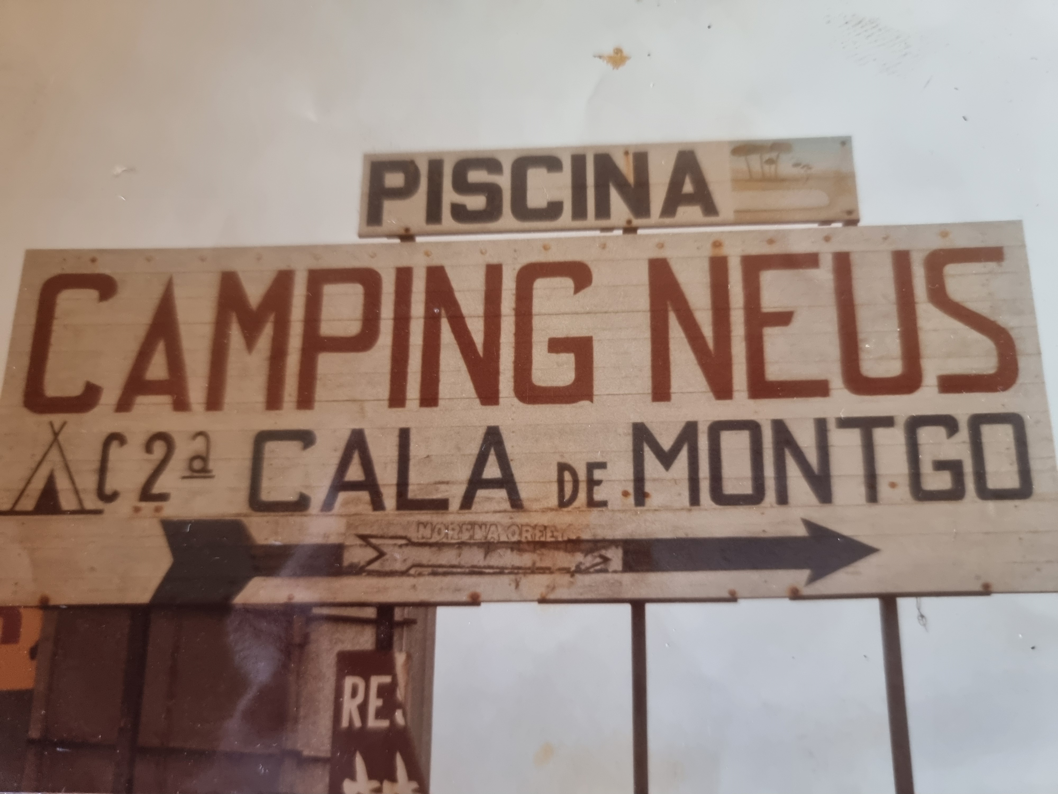 Campinig neus