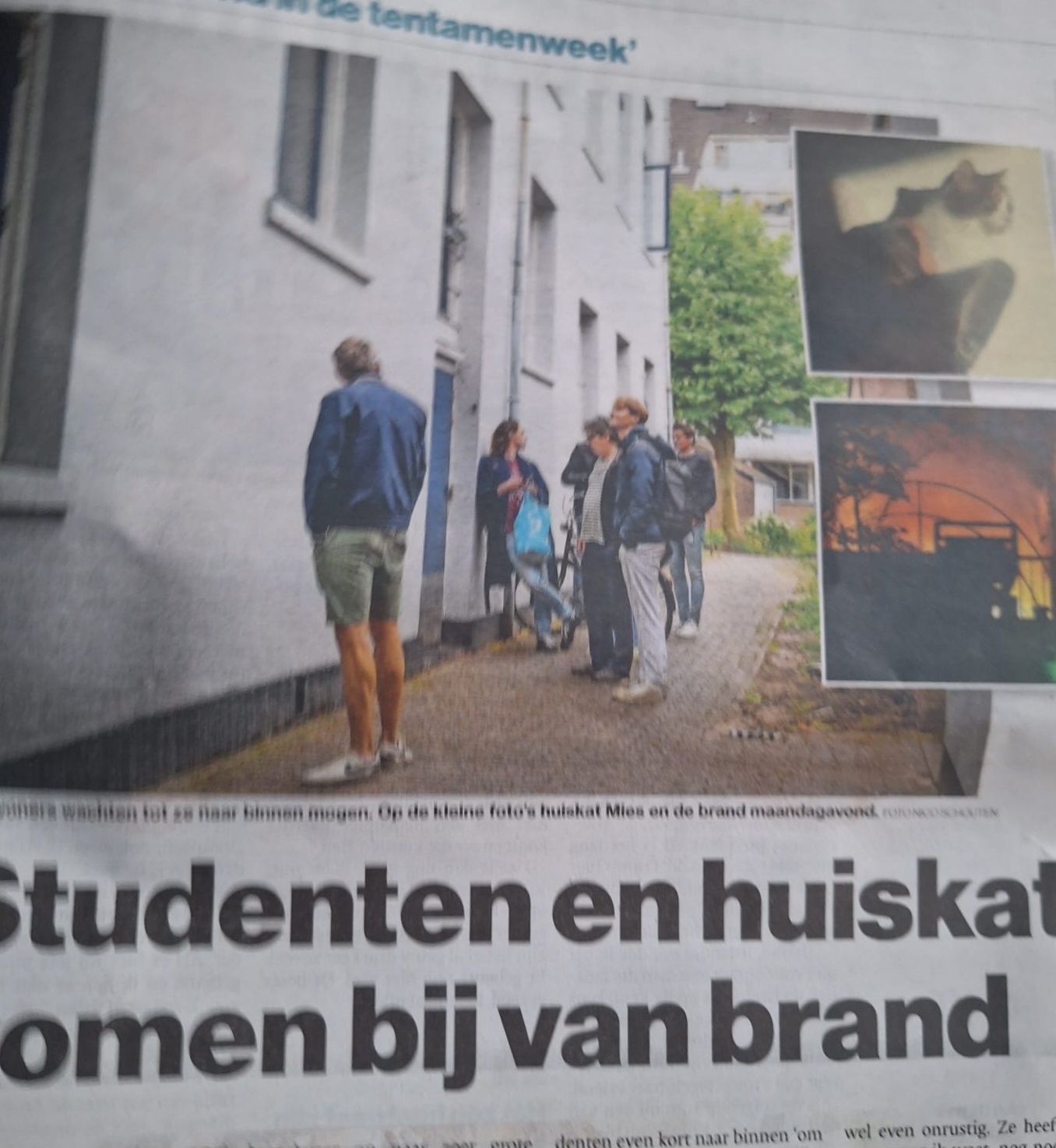 Galerij afbeelding 1